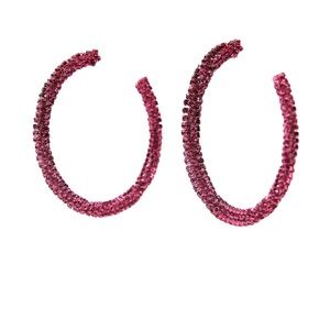 NWT Barbie™️ 💕The Movie x Zara Pink Hoop Earrings NWT